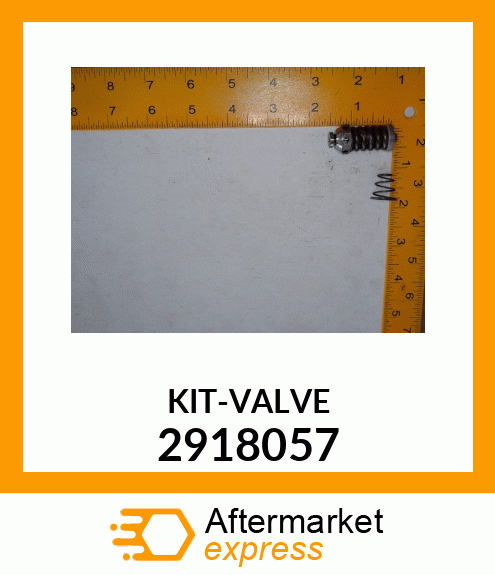 KIT-VALVE 2918057