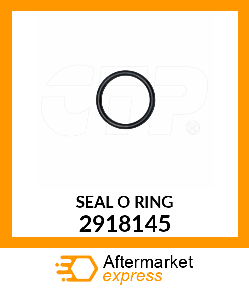 SEAL O RING 2918145