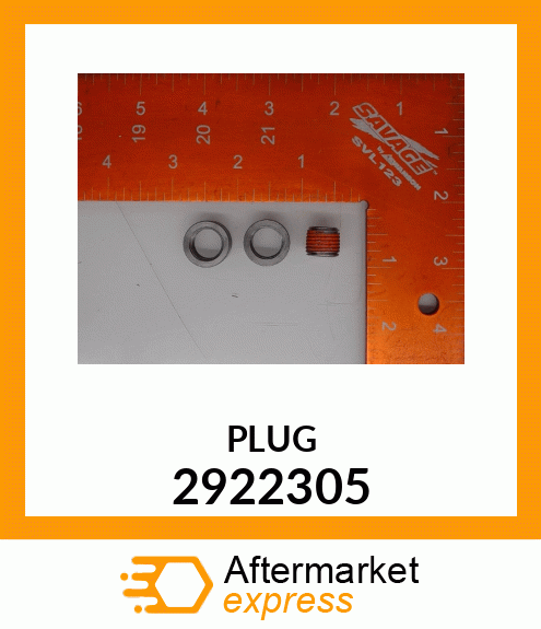 PLUG 2922305