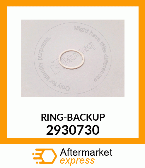 RING-BACKUP 2930730