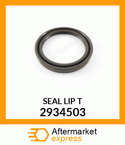 SEAL LIP T 2934503