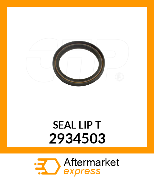 SEAL LIP T 2934503