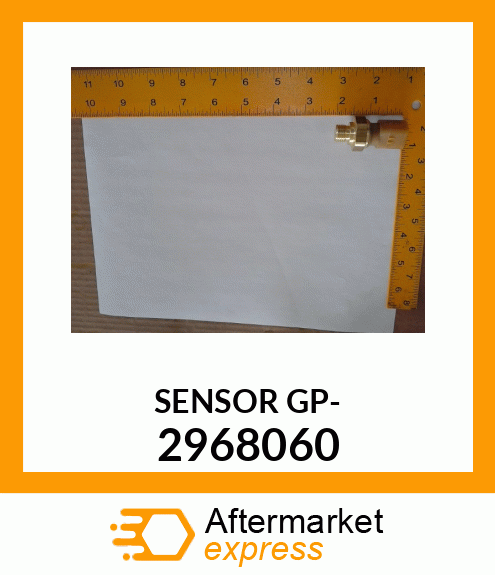 SENSOR G 2968060