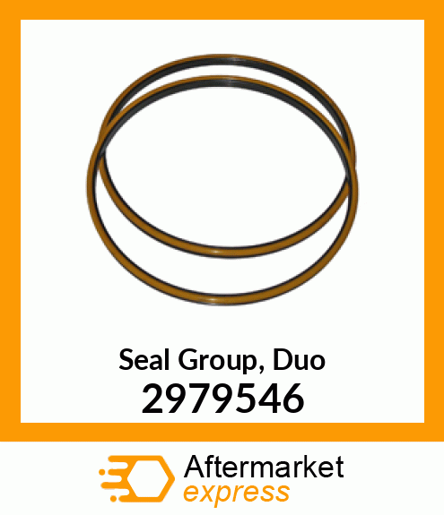 DUO CONE SEAL GROUP 2979546