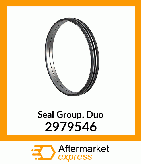 DUO CONE SEAL GROUP 2979546