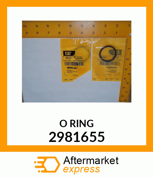 O-RING 2981655