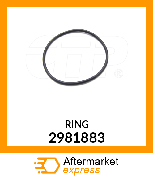 RING 2981883