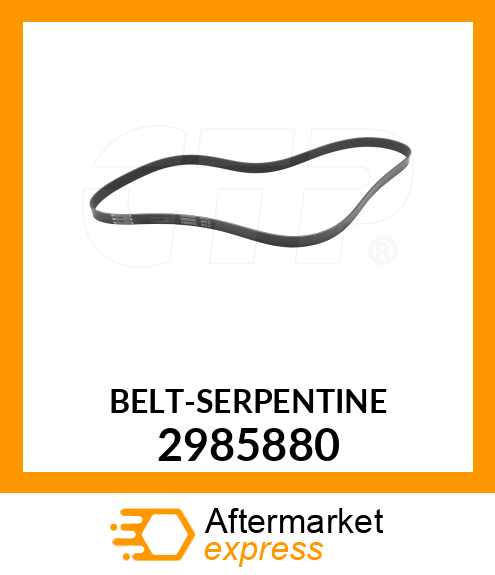 BELTSERPENTINE 2985880