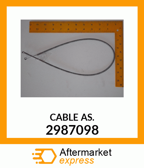 CABLE_ASSY 2987098