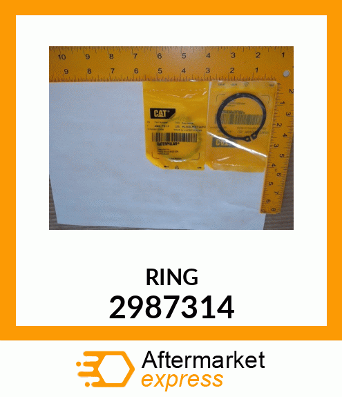 RING-RETAINING_ 2987314