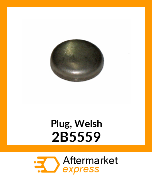 Plug, Welsh 2B5559