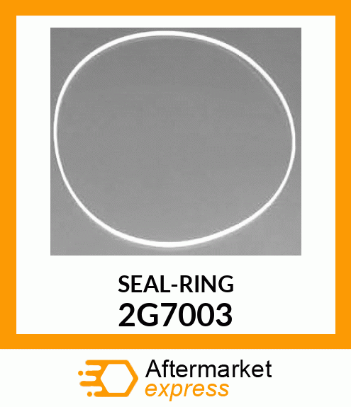 SEAL-RING 2G7003