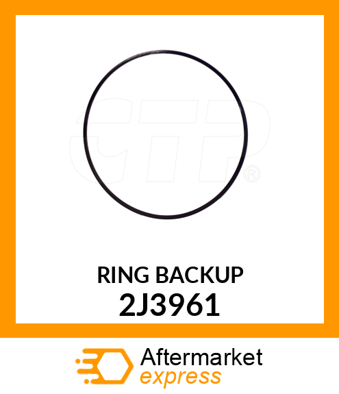 RING 2J3961