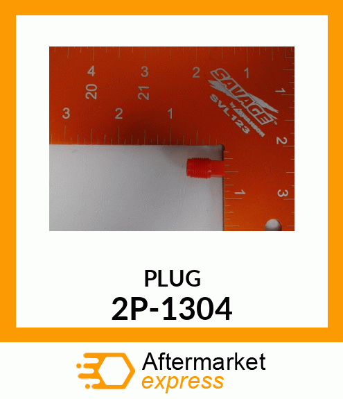 PLUG 2P-1304