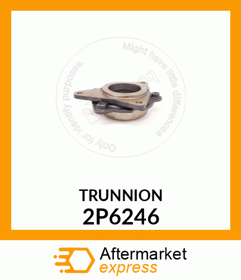 TRUNNION 2P6246