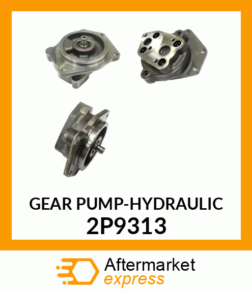 PUMP G 2P9313