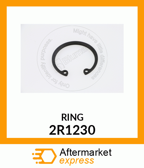 RING 2R1230