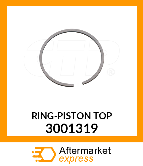RINGPISTON TOP 3001319