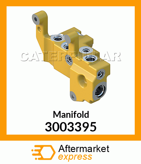 Manifold 3003395