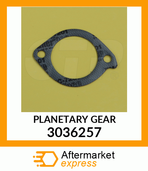 PLANETARY GEAR 3036257