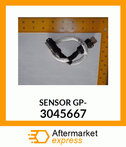 SENSOR 304-5667