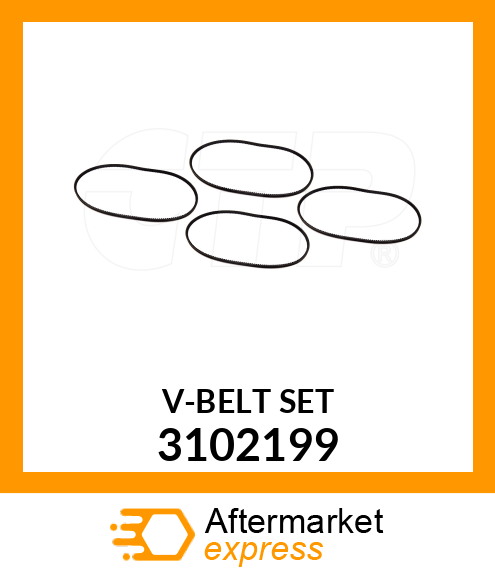 V-BELT SET 3102199