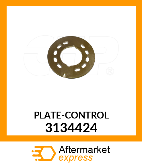 PLATECONTROL 3134424