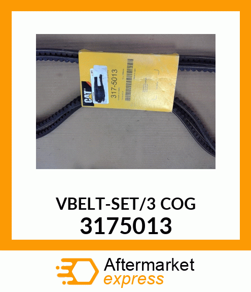 VBELT-SET/3_COG 3175013