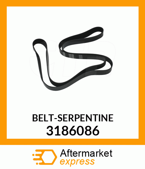 BELTSERPENTINE 3186086