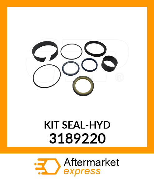KIT-SEAL-HYD 3189220