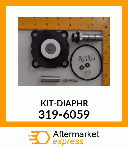 DIAPHRAGM KIT 319-6059