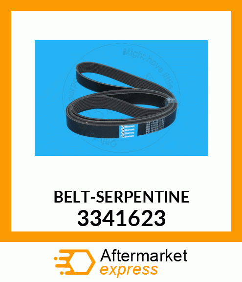 SERPENTINE BELT 3341623