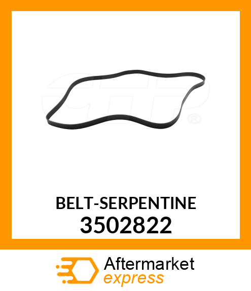 BELT 3502822