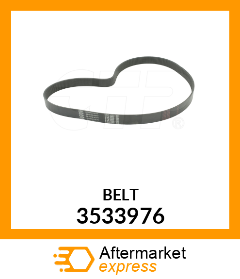 BELT 3533976