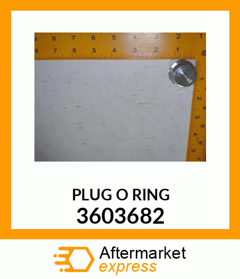 PLUG O RING 3603682