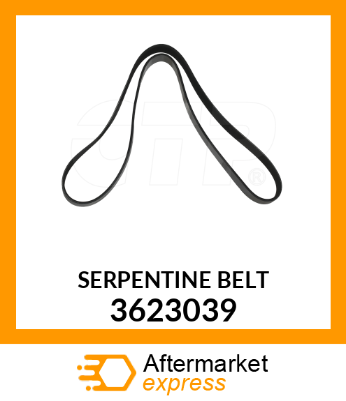 SERPENTINE BELT 3623039