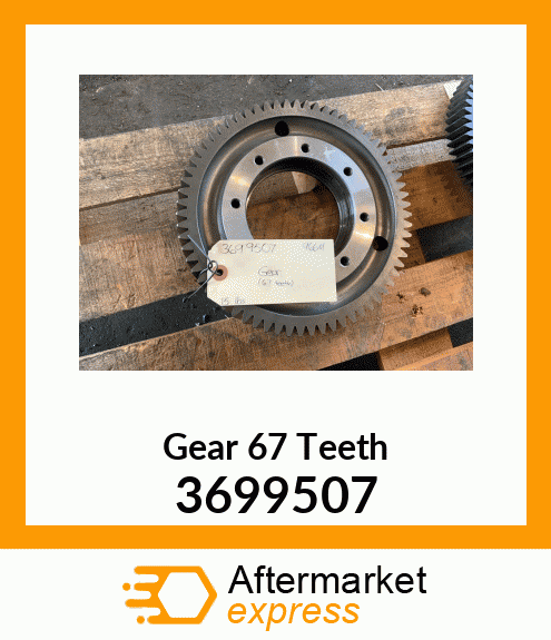 Gear (67 Teeth) 3699507