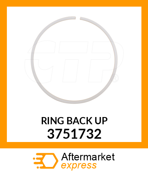 Back-up Ring 3751732