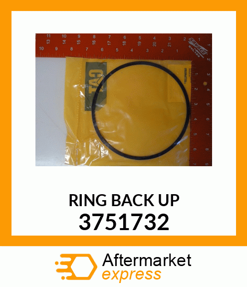 Back-up Ring 3751732