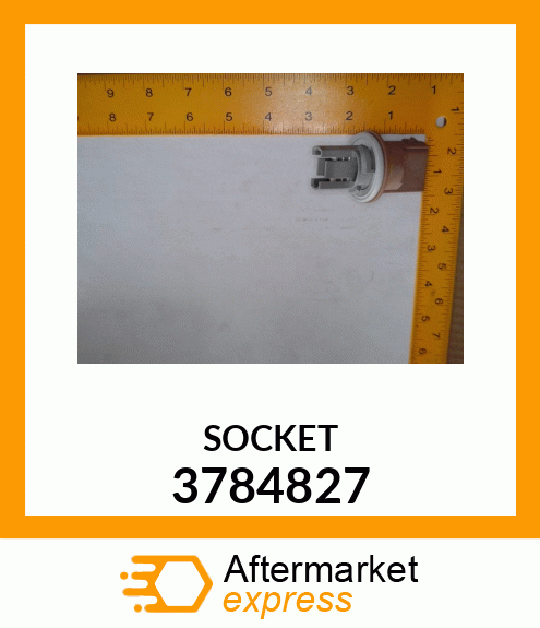 SOCKET-BUL 3784827