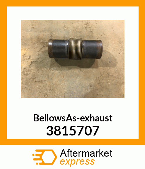 BellowsAs-exhaust 3815707