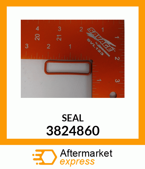 SEAL 3824860