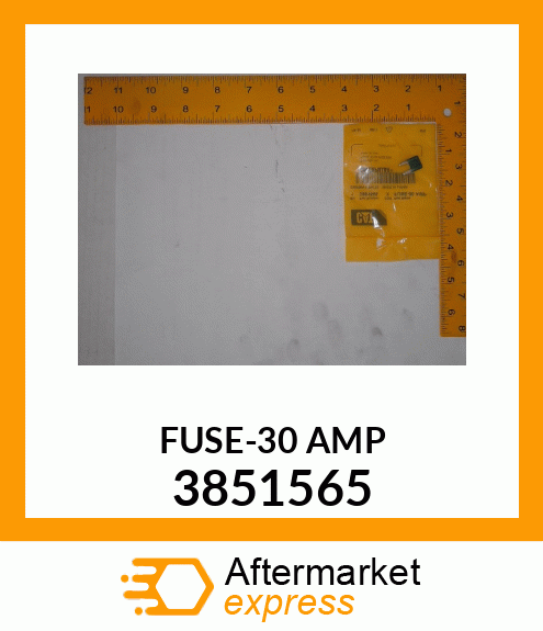 FUSE-30 AMP 3851565