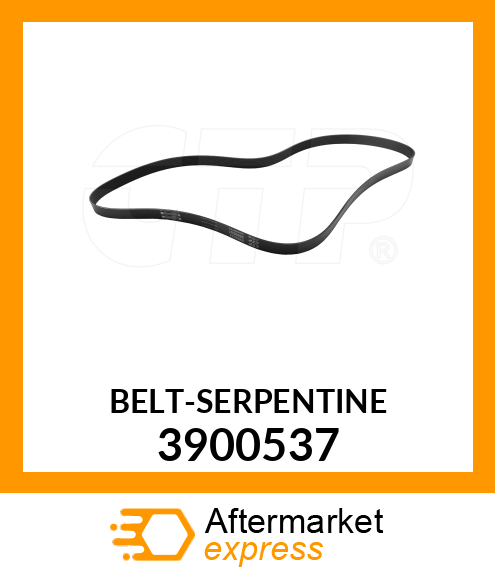 BELTSERPENTINE 3900537
