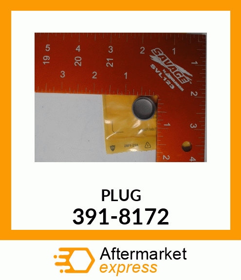 PLUG 391-8172