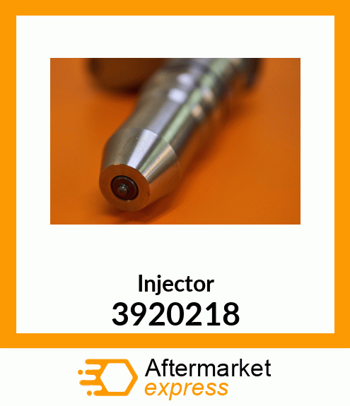 Injector 3920218