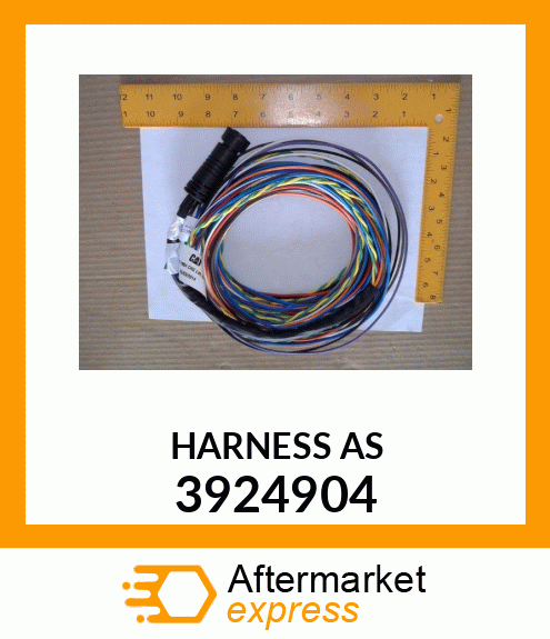 HARNESS_ASSY 3924904