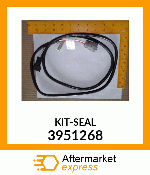 KIT-SEAL 3951268