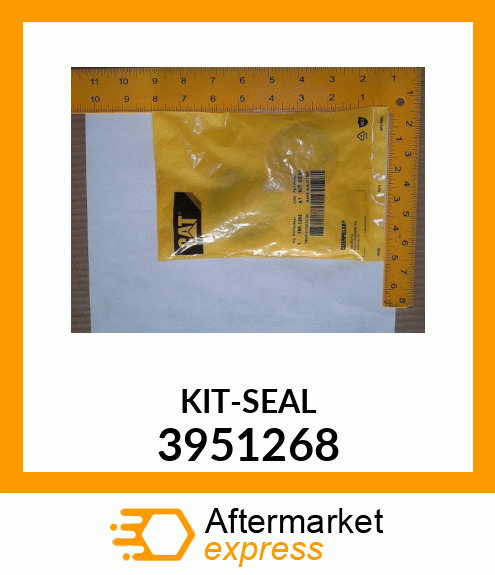 KIT-SEAL 3951268