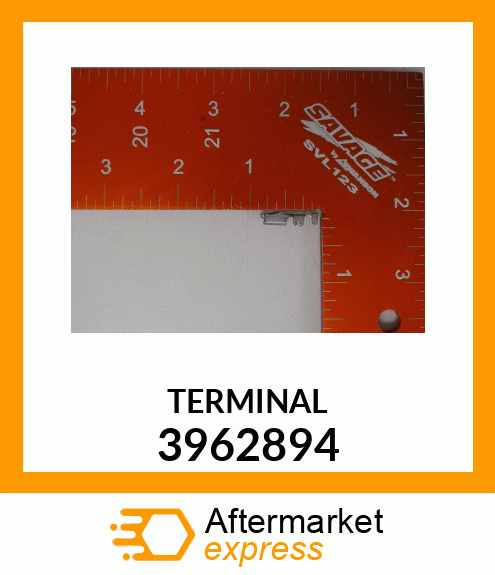 TERMINAL 3962894